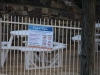 k-IMG_1090