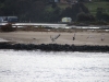 k-IMG_1158