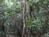 k-IMG_1775