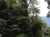k-IMG_1806