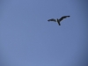k-IMG_3458