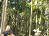 k-IMG_1652