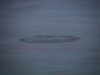 k-IMG_2115