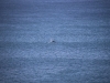 k-IMG_1951