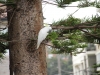 k-IMG_1383