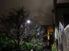 k-IMG_1237