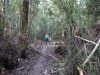 k-IMG_0895